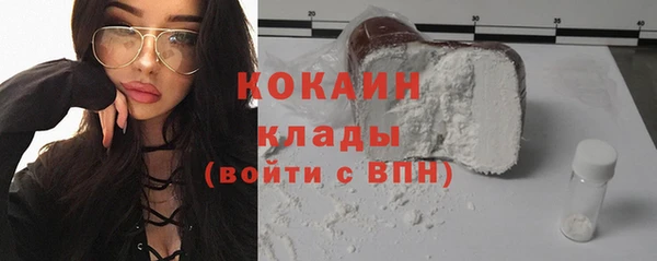 крисы Алексин