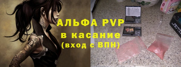 крисы Алексин
